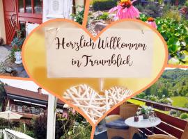 Ferienwohnungen Traumblick im Nahetal, hotel com estacionamento em Bärenbach