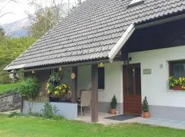 Apartment Sonce