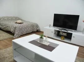 Apartmani Sofronic Loznica 1