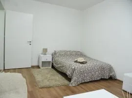 Apartmani Sofronic Loznica 1