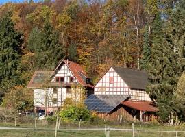 Große Ferienwohnung auf Pferdehof Mitten in der Natur โรงแรมที่มีที่จอดรถในSchwarzenborn