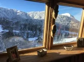 Appartement chalet Bellevue-pied de la montagne - Mont Dore