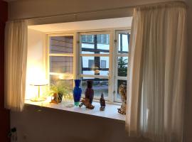 Stemningsfuld lejlighed - 3 minutters gang fra H.C. Andersens Hus, hotell sihtkohas Odense
