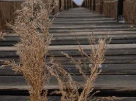 Sultan Pansion Bird Paradise