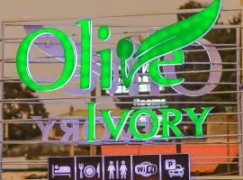 Olive Ivory