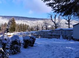 Camping Les Granges Bas - Tiny House - Lodges - Mobilhomes, kemp v destinaci Gérardmer