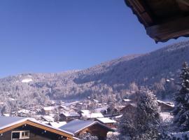 Les Carroz Modern Alpine Chalet - central, hotel em Les Carroz d'Arâches