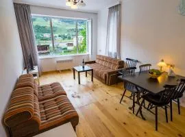 Svaneti Apartment's - Cozy Mountain Apartments in Mestia