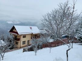 Cabana Muntele Paltinei, lodge en Someşu Rece