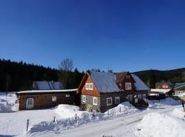 Chalet Schäfer s vyhřívaným bazénem se slanou vodou a saunou