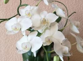 DvīņuMājas Vintage B&B, alquiler vacacional en Balvi