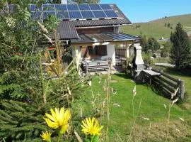 Sommeralmhütte