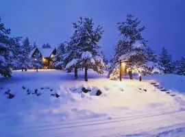 Previja Zlatibor Chalet, шале у місті Златибор
