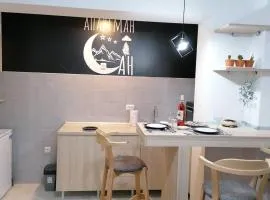 Apartman San