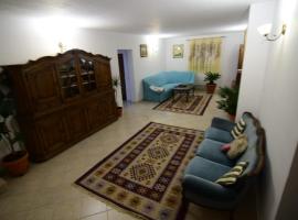 Agropensiune CASA SONIA, holiday rental in Băcia