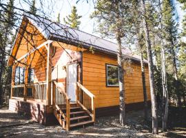 Denali Wild Stay - Redfox Cabin, Free Wifi, private, sleep 6, feriebolig i Healy