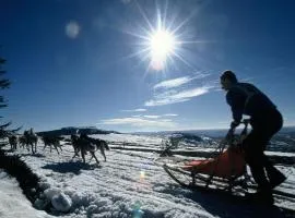 Loire-Gerbier-Mézenc