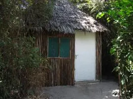 Mida Creek Eco Camp - relax in cosy cottage