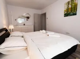 Transylvanian Apt. w/ lrg. terrace and parking - KarpatenHaus