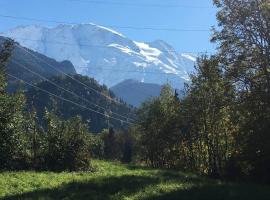 Appartement rez de jardin expo sud, hotel a prop de Chattrix Ski Lift, a Saint-Gervais-les-Bains