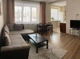 Apartamentai Draugystes Street