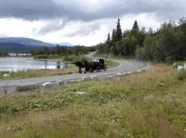 Bergfosshytta 1 sør