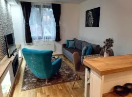 Vila Irina Kopaonik - Apartman IN