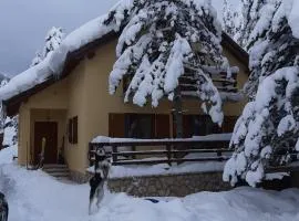 Vikendica Vil