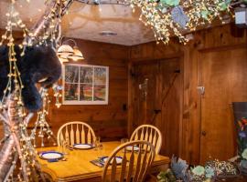Beary Wild Cabin in the Smokies, vacation rental in Gatlinburg