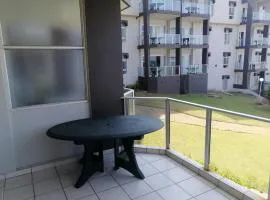 Seagull 305