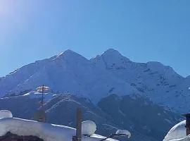 La Fisarmonica
