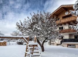 Alpine View Apartments, hotel v destinaci Niedernsill