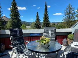 Auszeit Schluchsee - Fewo Tanja - Oase der Stille -