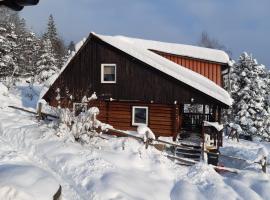 Villa Victoria, hotel in Kamesznica