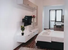 Cozy Lovely Studio - Palas Mall Iasi