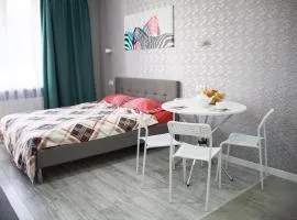 2nd floor Apartment studio on Akademgorodok