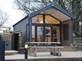 Woodland Escape, cabana o cottage a Nantmel