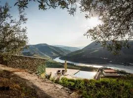 Vineyard and Views Exquisite Luxury Douro Villa with Sun-Drenched Infinity Pool
