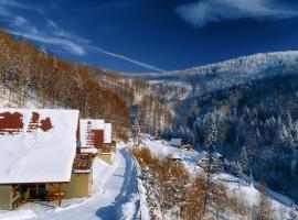 Domki Beskid, hotel v destinaci Rzyki