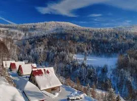 Domki Beskid