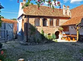 Casa Nicu