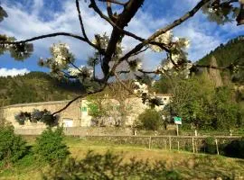 Moulin A