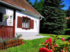 Őrség Kincse Nagy Apartman - 6 főre, homestay in Hegyhátszentjakab