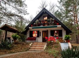 Ladybird Lodge, cabin in Bela Crkva