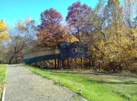 Peaceful Valley Haven Tree House