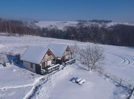 Apartamenty Żywiec, hotel in Żywiec