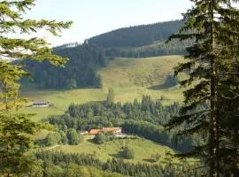 Berggasthaus Steinberg-Alm inkl. Chiemgaukarte