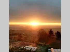 Vue panoramique sur le vignoble