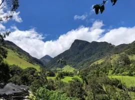 Cabañas Valle del Cocora La Truchera