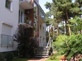 Apartament Verona